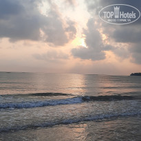 фото из отзыва ID 2362498