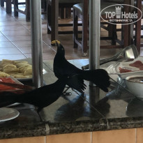 фото из отзыва ID 2362548