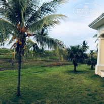 фото из отзыва ID 2362548