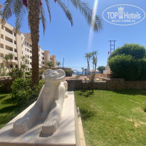 фото из отзыва ID 2363096