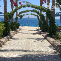 фото из отзыва ID 2363096