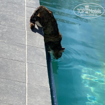 фото из отзыва ID 2363180