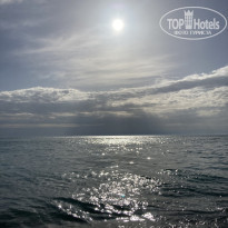 фото из отзыва ID 2363180