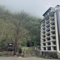 фото из отзыва ID 2363180