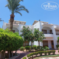 фото из отзыва ID 2363188