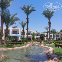 фото из отзыва ID 2363188