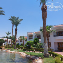 фото из отзыва ID 2363188