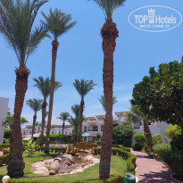 фото из отзыва ID 2363188