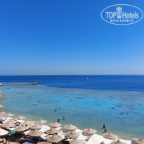 фото из отзыва ID 2363188