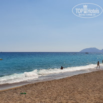 фото из отзыва ID 2363187