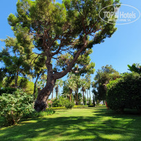 фото из отзыва ID 2363187