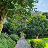 фото из отзыва ID 2363187