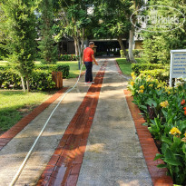 фото из отзыва ID 2363187