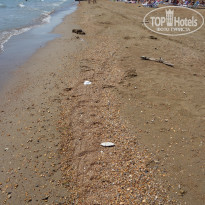 фото из отзыва ID 2363208