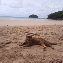 фото из отзыва ID 2363331