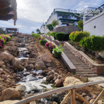 фото из отзыва ID 2363544