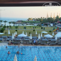 фото из отзыва ID 2363597