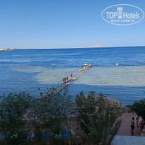 фото из отзыва ID 2363607