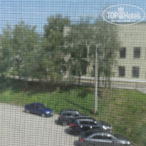 фото из отзыва ID 2363614