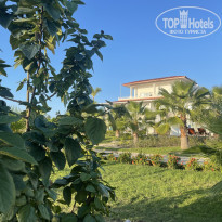 фото из отзыва ID 2363768