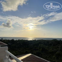 фото из отзыва ID 2363768