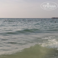 фото из отзыва ID 2363874