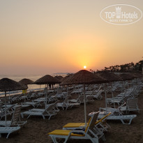 фото из отзыва ID 2363891