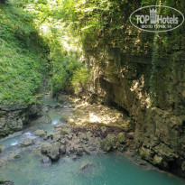 фото из отзыва ID 2363892