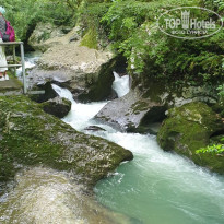 фото из отзыва ID 2363892