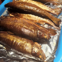 фото из отзыва ID 2363968