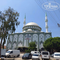 фото из отзыва ID 2363965