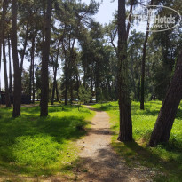 фото из отзыва ID 2363968