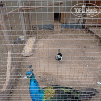 фото из отзыва ID 2363976