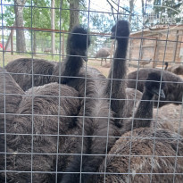 фото из отзыва ID 2363976