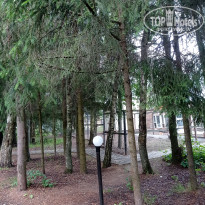 фото из отзыва ID 2363976