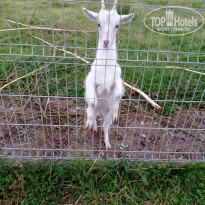 фото из отзыва ID 2363976