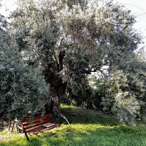 фото из отзыва ID 2364019