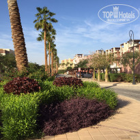 фото из отзыва ID 2364036