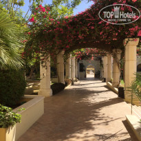 фото из отзыва ID 2364036