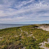 фото из отзыва ID 2363870