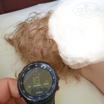 фото из отзыва ID 2364283