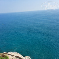 фото из отзыва ID 2364283