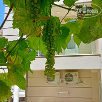 фото из отзыва ID 2364315