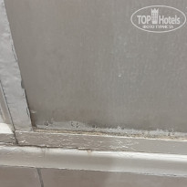 фото из отзыва ID 2364369