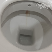 фото из отзыва ID 2364369