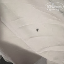 фото из отзыва ID 2364369