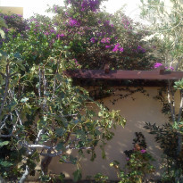 фото из отзыва ID 2364449