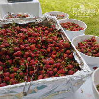 фото из отзыва ID 2364458