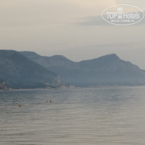 фото из отзыва ID 2364458