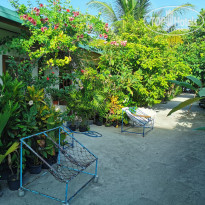 фото из отзыва ID 2364533